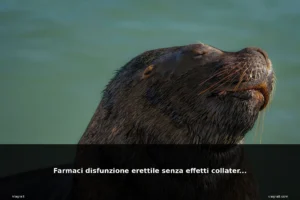 featured disfunzione bella donna europe