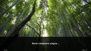 featured viagrande ritratto donna europ